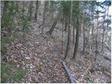 Dolina Zaplaninščice - Črni vrh (Čemšeniška planina)